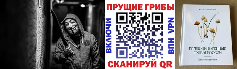 Псилоцибиновые грибы Psilocybine cubensis наркотики mega ссылки Кораблино